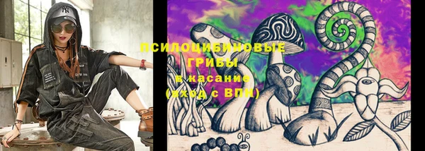 mdpv Ладушкин