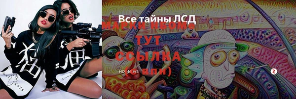 PSILOCYBIN Кукмор